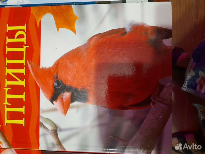 Книги из серии 