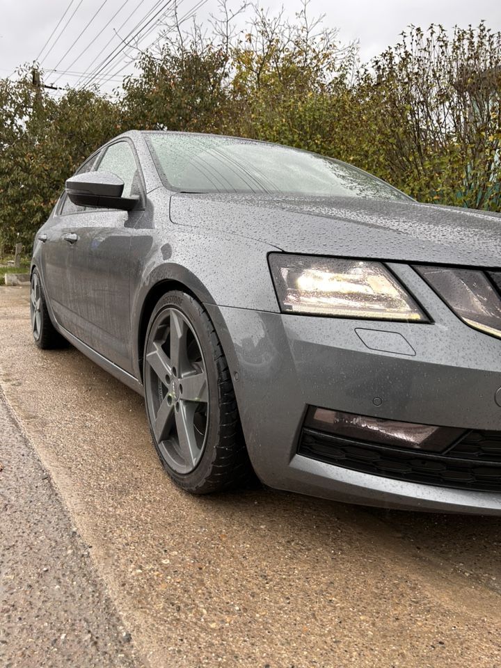 Skoda Octavia: фото владельца