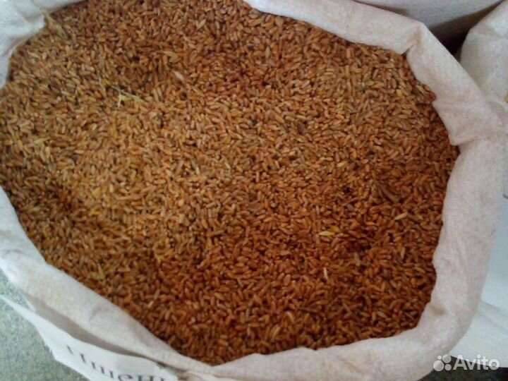 Кукуруза дробленая