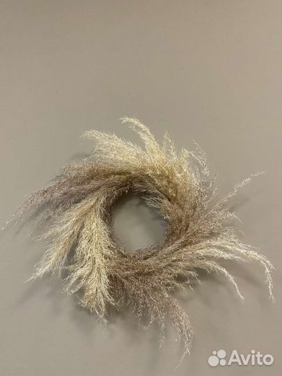 Цветы сухоцветы, пампасы