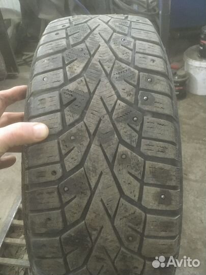 Gislaved NordFrost 100 205/65 R15 99T