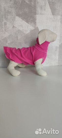 Одежда для собак