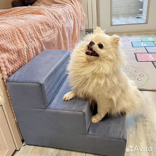 Лесенка для собак