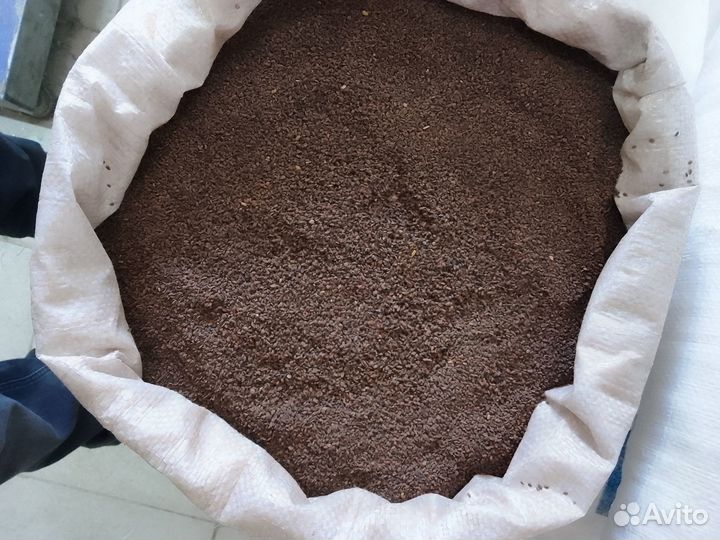 Семена фацелии