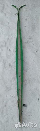 Лыжи для спринта СССР главспортпром