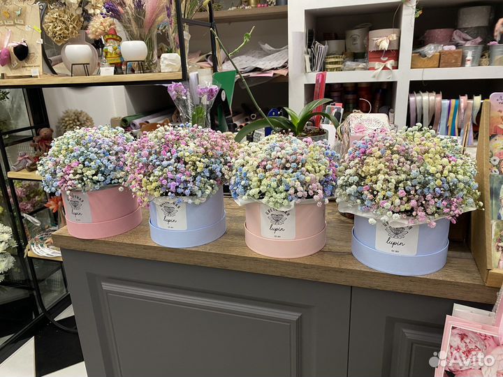 Гипсофила в коробках