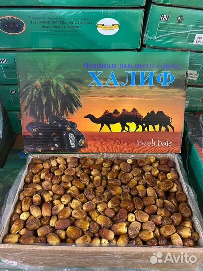 Финики разных сортов