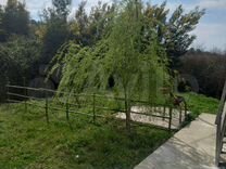 Дом (Абхазия)