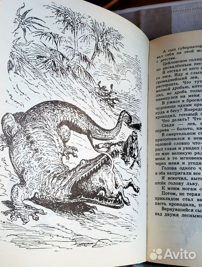 Приключения Мюнхаузена. Э Распэ