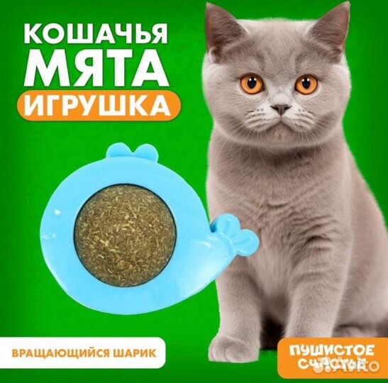 Леденцы для кошек из кошачьей мяты