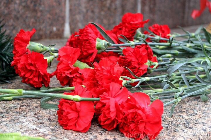 Гвоздика красная, импорт