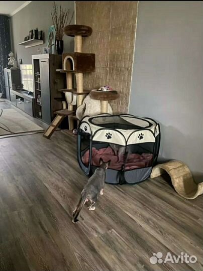 Домики для котов и собак вольеры(новые)