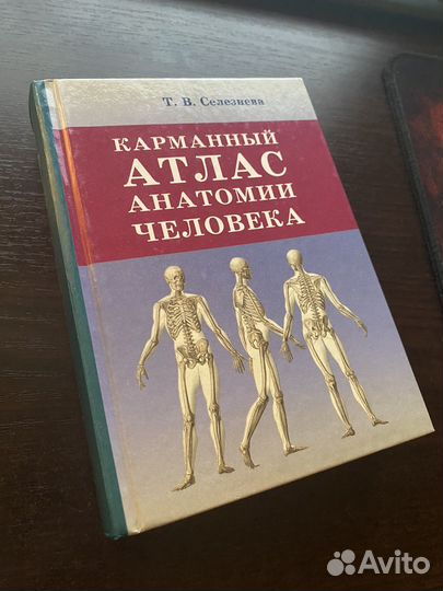 Карманный атлас анатомии человека
