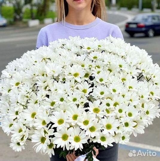 Хризантема Букеты доставка цветов