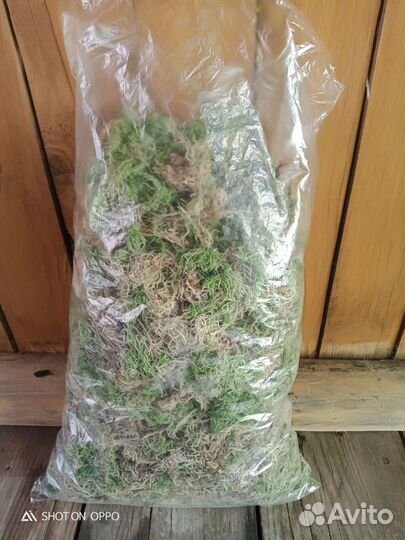 Мох сфагнум высушенный