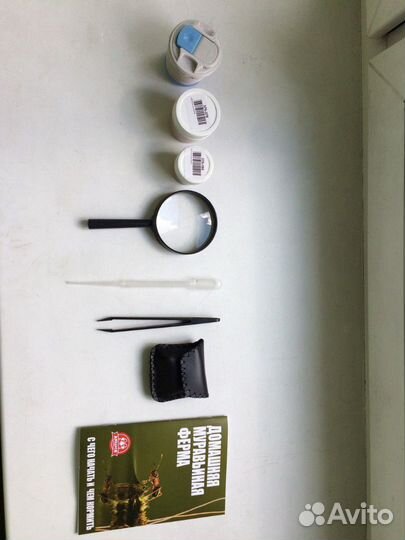 Муравьинная ферма