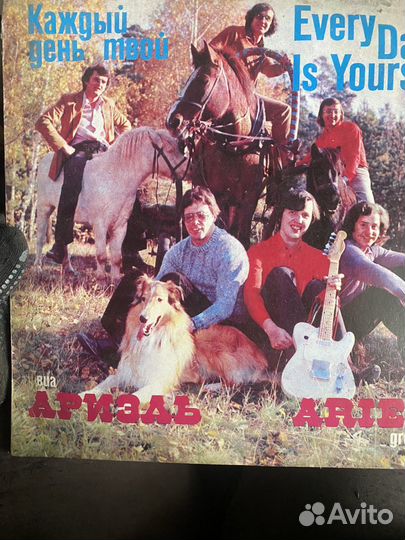 Виниловые пластинки много