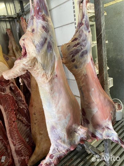 Баранина молодая с доставкой