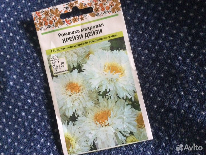 Ромашка махровая
