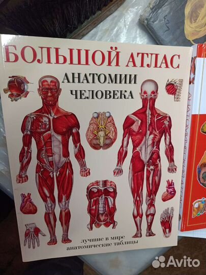 Атлас анатомии цветной глянцевый