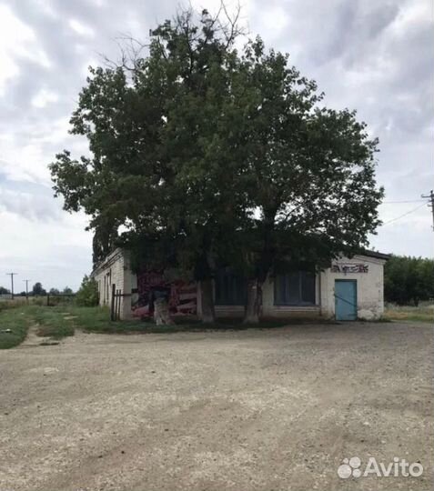 Магазин-Хлебопекарня