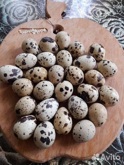 Яйца перепелиные куриные