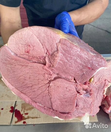 Мясо говядина