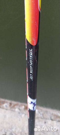 Лыжные палки