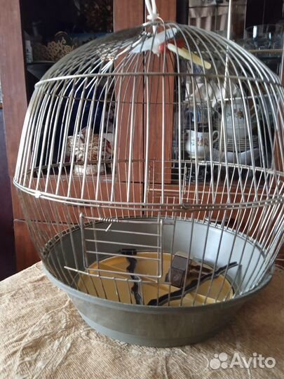Клетка для птиц
