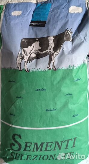 Семена свеклы кормовой 