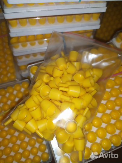 Комплект мисочек для вывода пчелиных маток