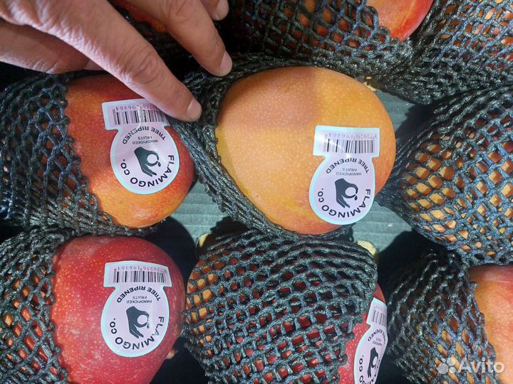 Манго (Мексика)