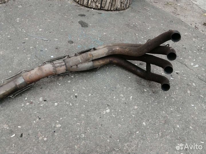 Паук на kawasaki