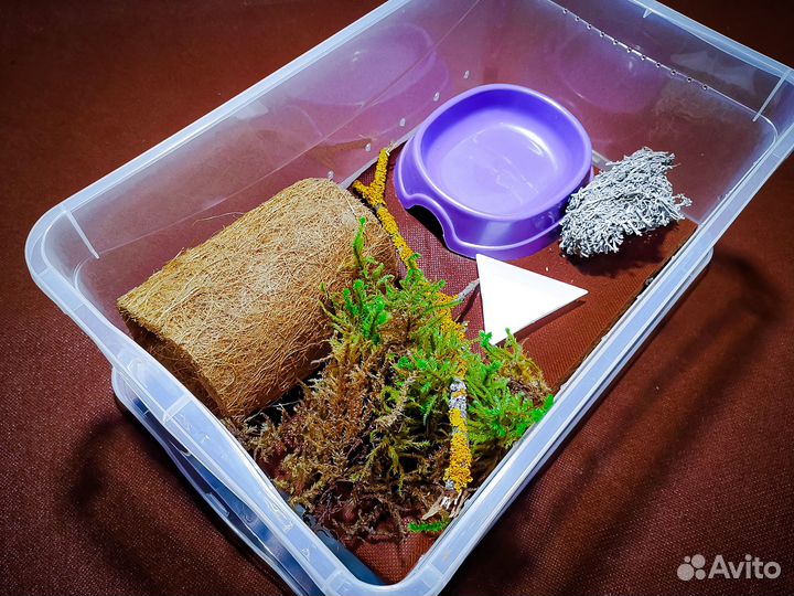 Террариумы для ахатин улиток, наполнение