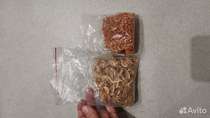 Корм для черепах бесплатно