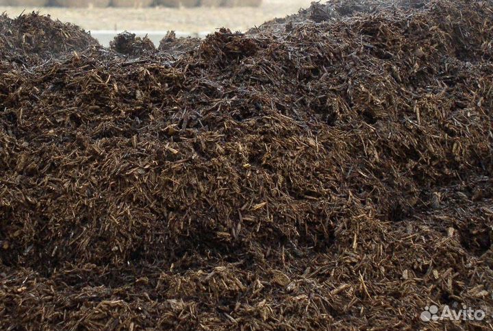 Купить чернозёмный грунт