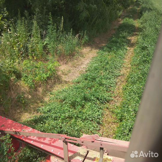 Сено солома в тюках