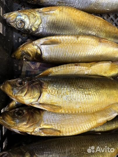 Продажа рыбы оптом