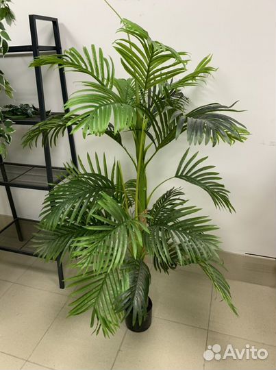 Зеленый декор для дома