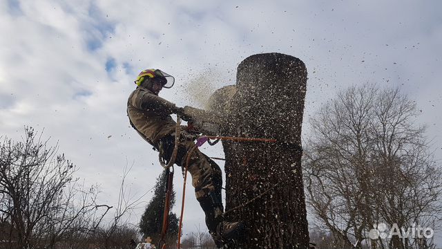 Пильщик-водитель