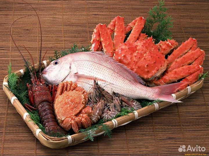 Готовый бизнес: прибыльный рыбный магазин