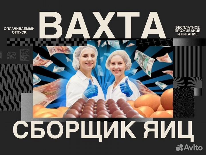 Сборщик куриных яиц. Вахта с проживанием