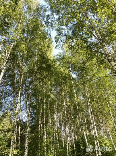 Кемпинг на берегу Нерли, Волги, Калязин