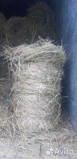 Продам сено в рулонах