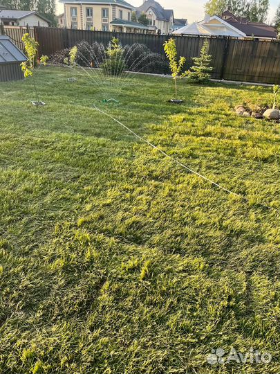 Рулонный газон с укладкой