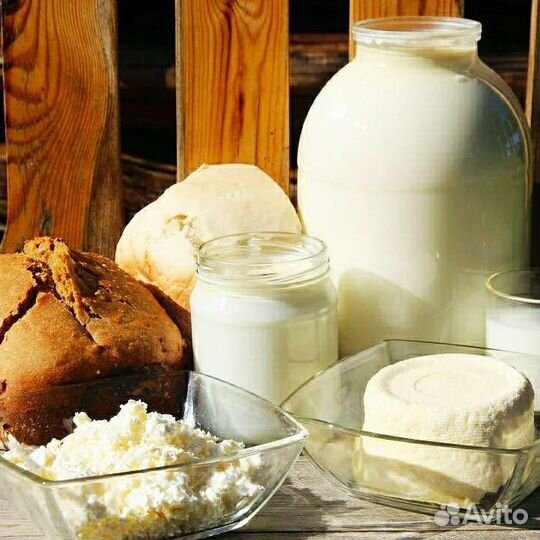 Молоко сметана творог