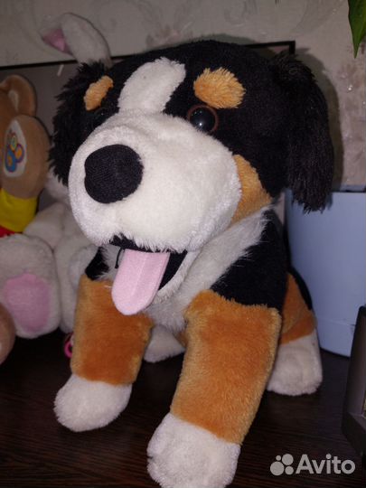 Интерактивная собака