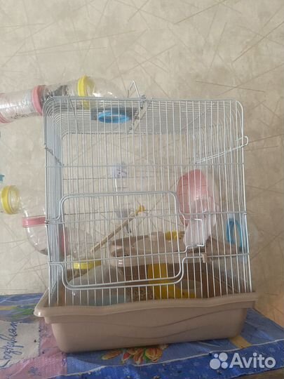 Джунгарский хомяк с клеткой