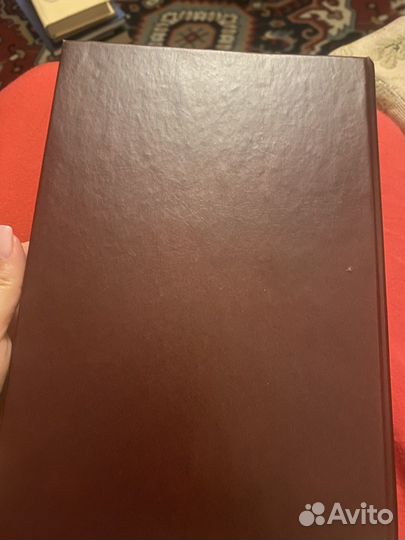 Фабрициус. Кремль в Москве