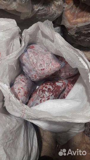 Мясо и субпродукты для собак